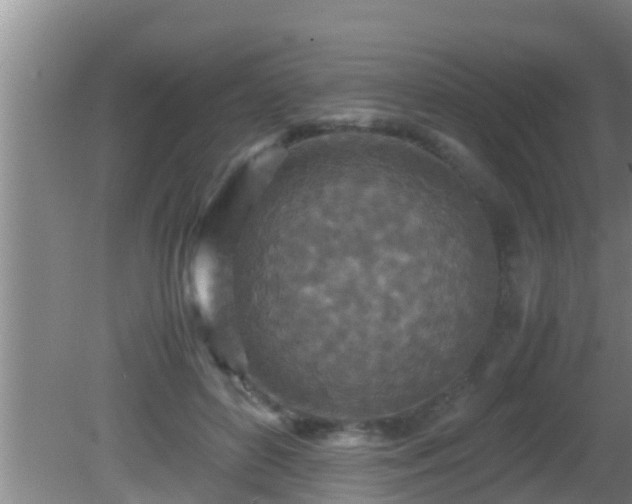 X0000081610504200701221206