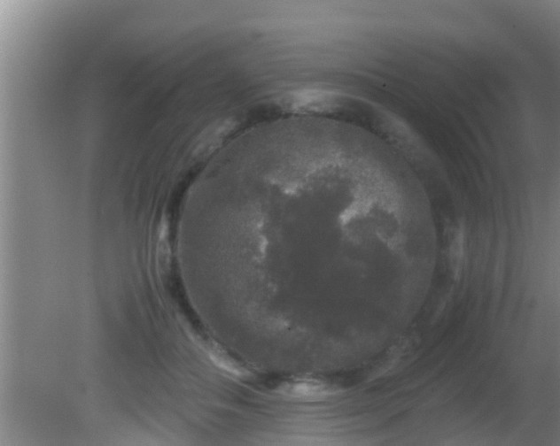 X0000081610506200701221206