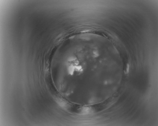 X0000081610507200701221206