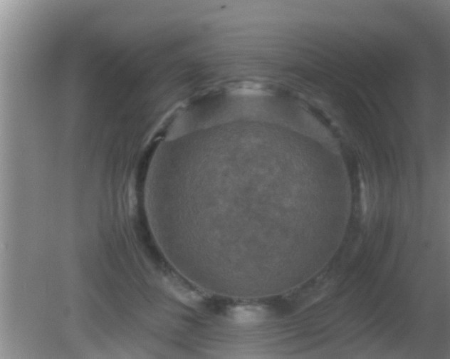 X0000081610508200701221206