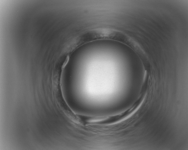 X0000081610509200701221206