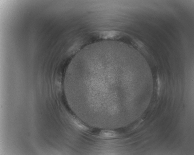 X0000081610510200701221206