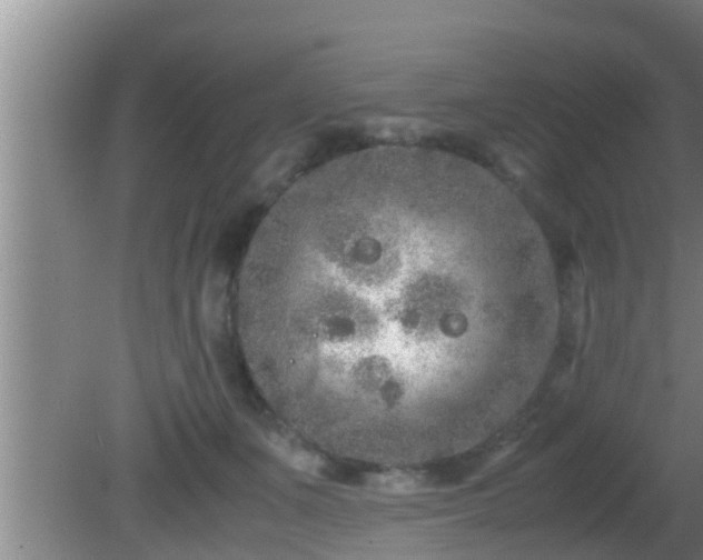 X0000081610511200701221206