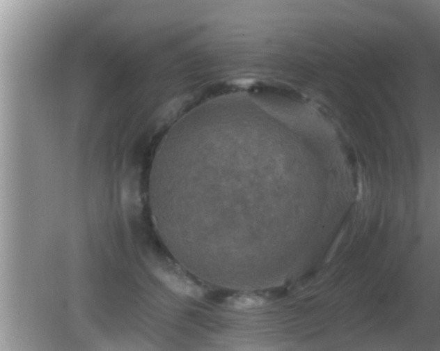 X0000081610512200701221205