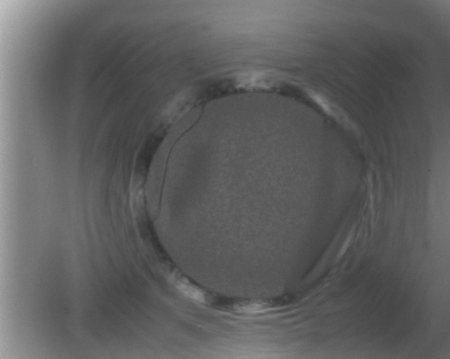 X0000081610513200701221205