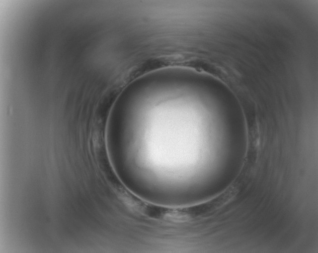 X0000081610515200701221205