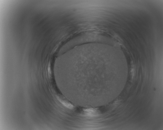 X0000081610516200701221205