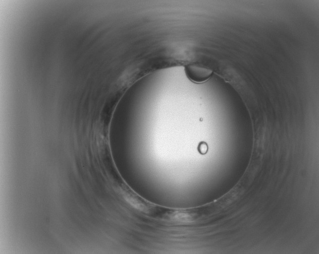 X0000081610518200701221205