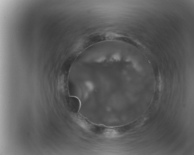 X0000081610519200701221205