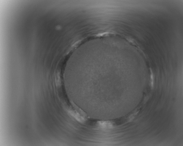 X0000081610520200701221205