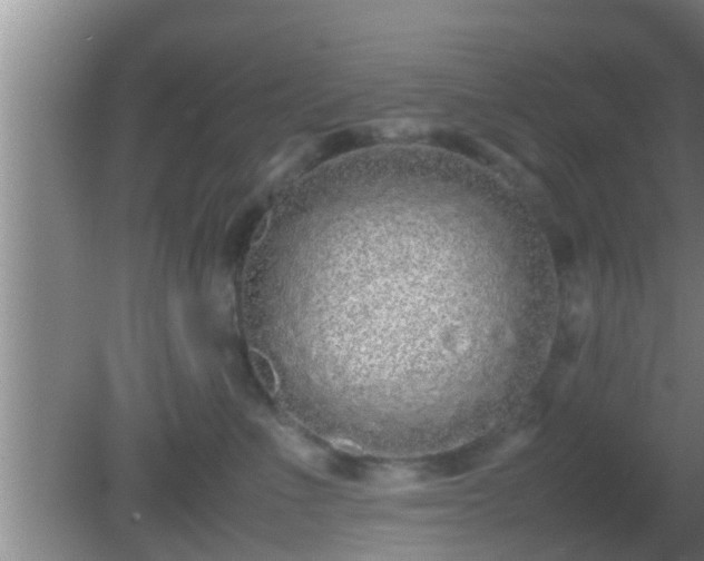 X0000081610523200701221205