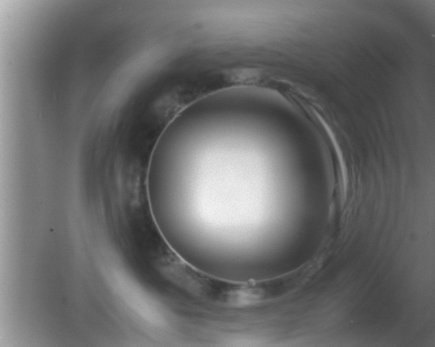 X0000081610525200701221205