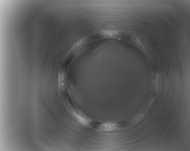 X0000081610526200701221205