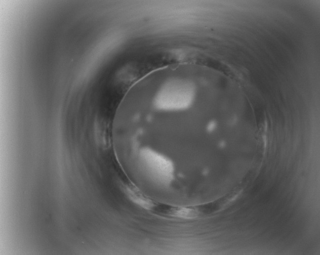 X0000081610527200701221205