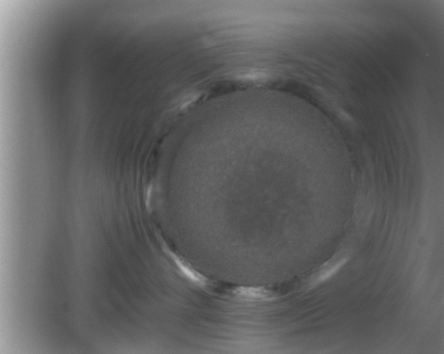 X0000081610528200701221205