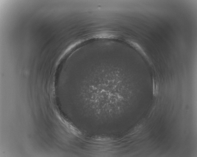 X0000081610531200701221204