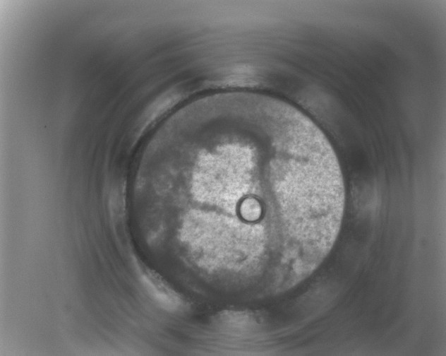 X0000081610534200701221205