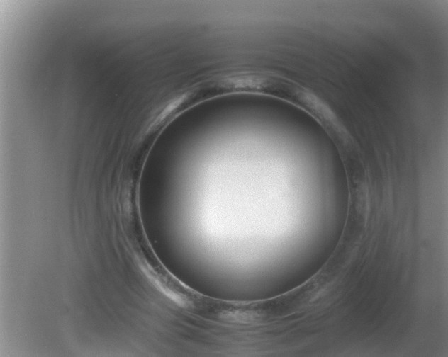 X0000081610537200701221205