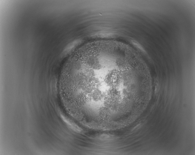 X0000081610542200701221205