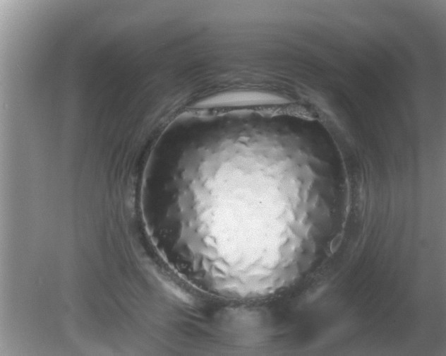 X0000081610545200701221205