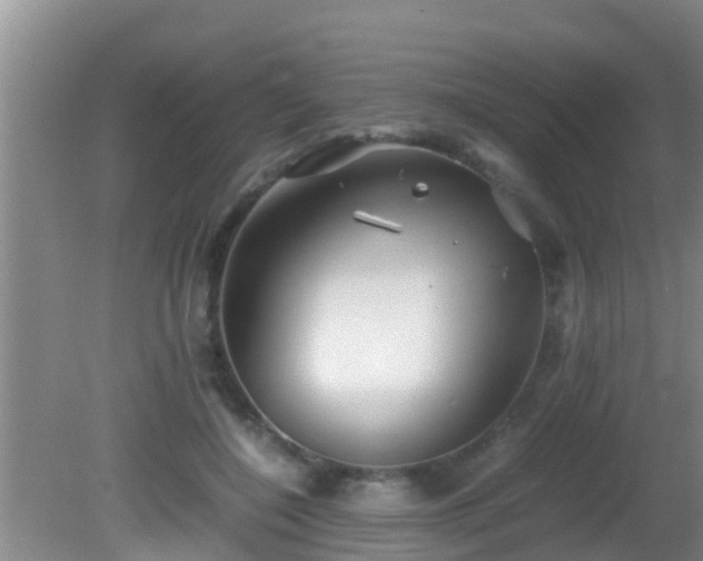 X0000081610548200701221205