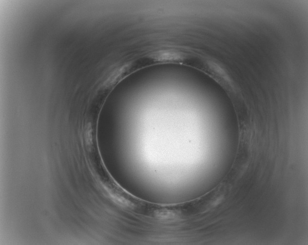 X0000081610549200701221205