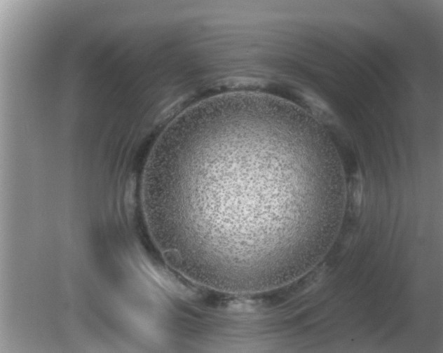 X0000081610550200701221205