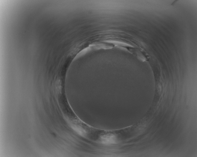 X0000081610551200701221205