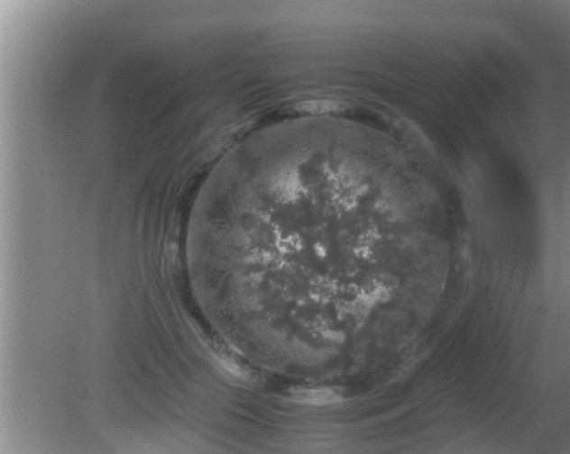 X0000081610553200701221205