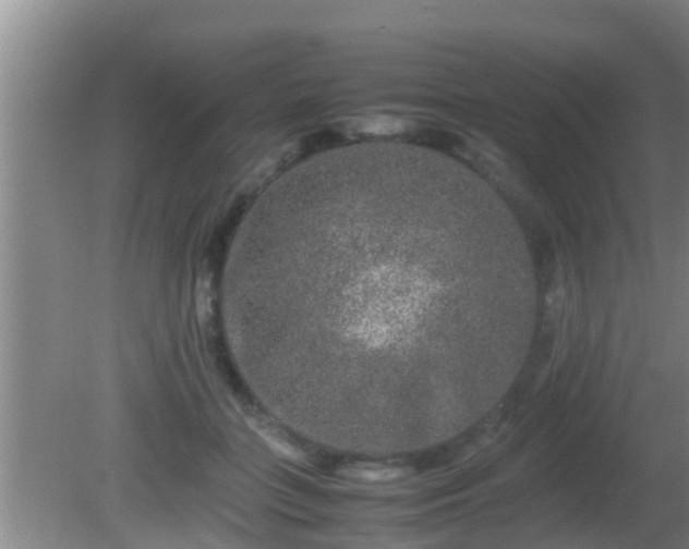 X0000081610555200701221205