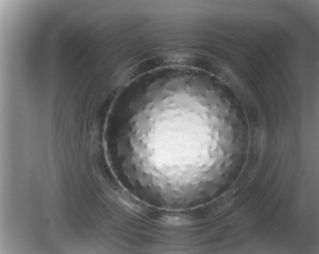 X0000081610557200701221205