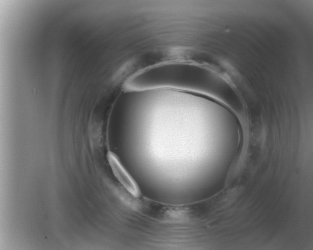 X0000081610560200701221205