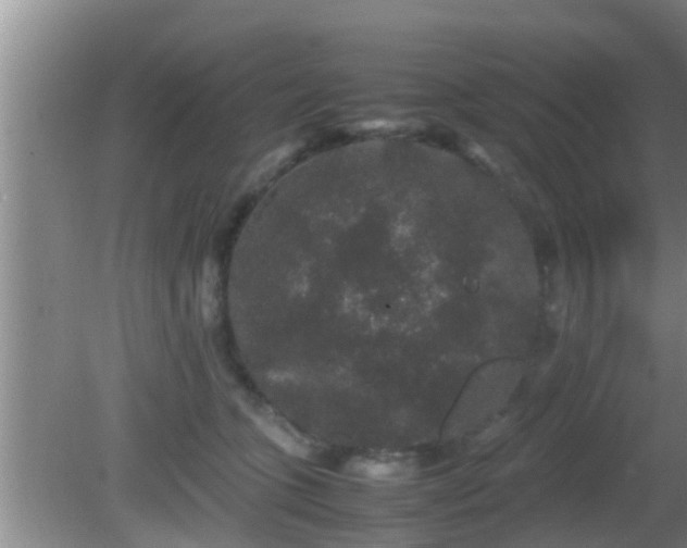 X0000081610563200701221205