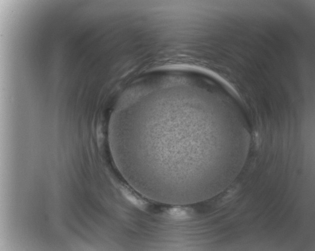 X0000081610566200701221205