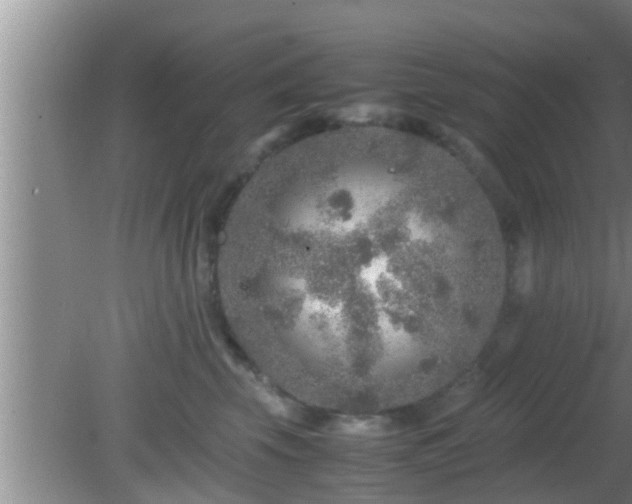 X0000081610569200701221205