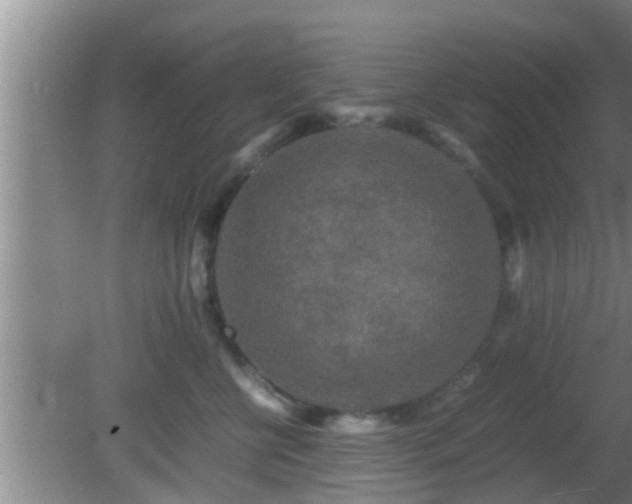 X0000081610570200701221205