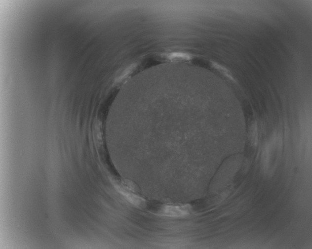 X0000081610571200701221205