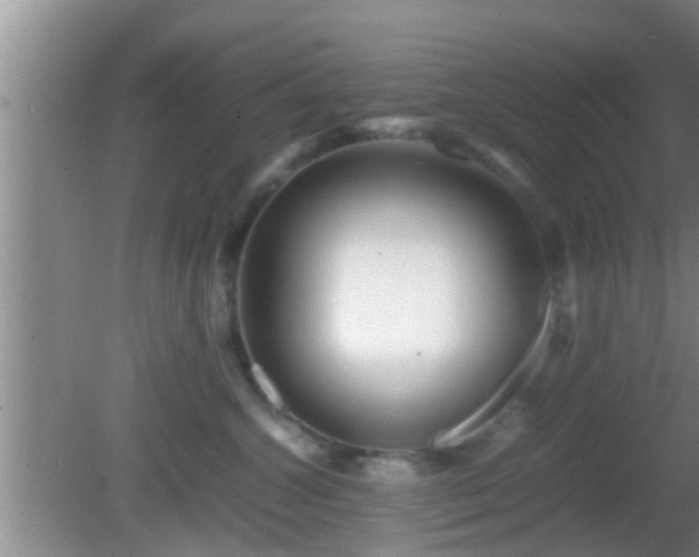 X0000081610572200701221205