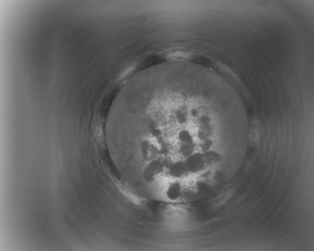 X0000081610573200701221205