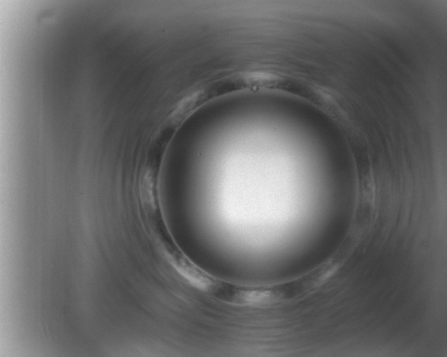 X0000081610575200701221205