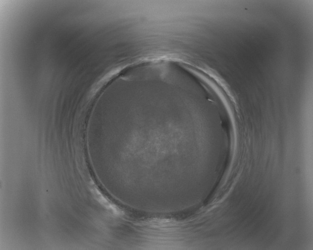 X0000081610577200701221204