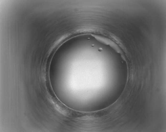 X0000081610578200701221204