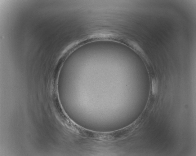 X0000081610579200701221204