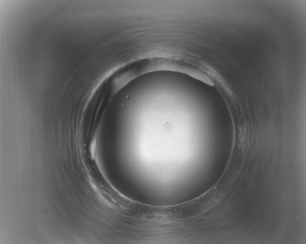 X0000081610580200701221204