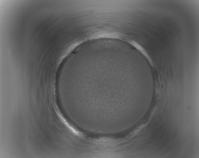 X0000081610581200701221204