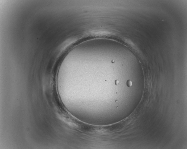 X0000081610583200701221204