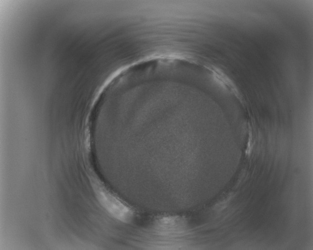 X0000081610584200701221204