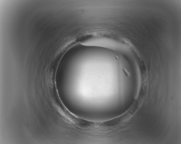 X0000081610585200701221204