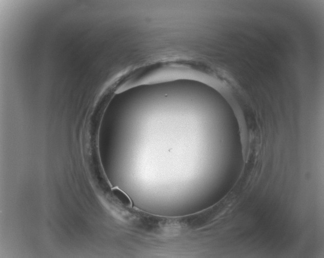 X0000081610587200701221204