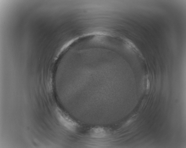 X0000081610588200701221204